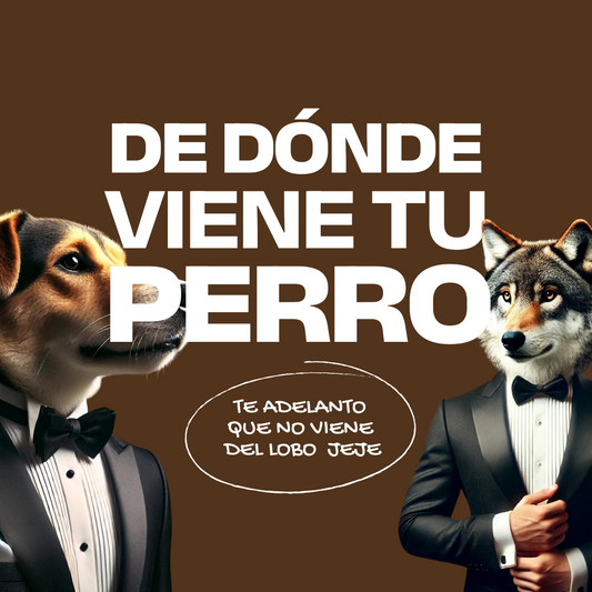¿De dónde viene mi perro? Hablemos del Protoperro